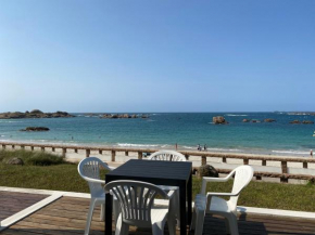 Appartement VUE SUR MER avec terrasse, plage Grève Blanche TREGASTEL - Réf 791